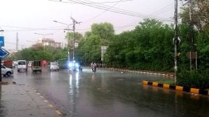 Punjab Braces For Rainy Weekend With Temperature Drop