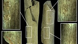 Neandertallerin Yamyamlık İzlerini Barındıran Mağaralar