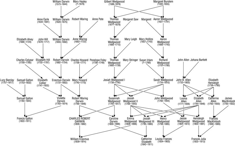 Darwin ve Wedgwood ailelerinin soyağacı