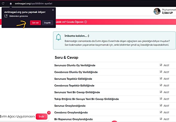 Bildirim Almayı Onaylama Bölümü
