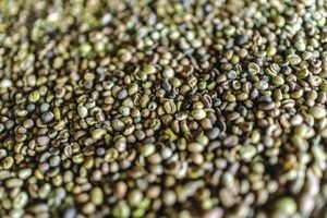 Brazil’s Coffee Crisis Grows As Deforestation Threatens Industry