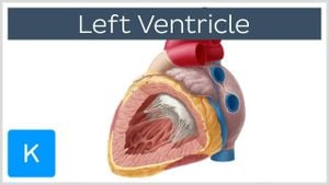 New Insights Into Heart Function: SGLT2 Inhibitors Protect Diabetic Patients