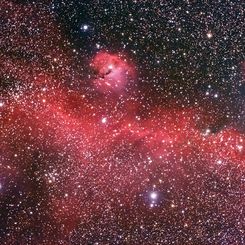 The Seagull Nebula