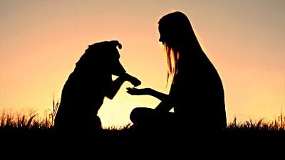 Köpeklerle Nasıl Anlaşıyoruz? Köpekler Bizi Anlıyor mu?