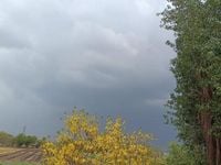 Gujarat Weather Update: IMD Forecasts Thunderstorms With Lightning for Next Few Days - www.lokmattimes.com