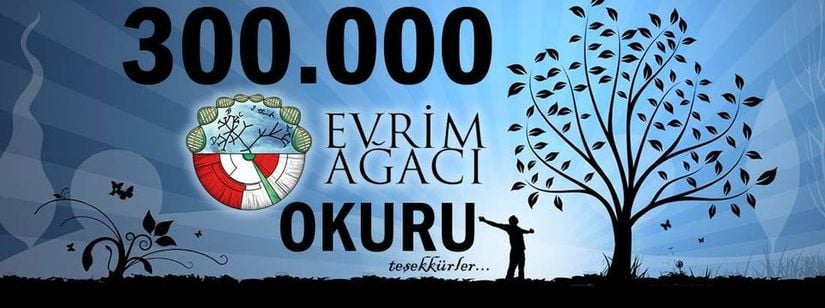 Evrim Ağacı'nın Facebook sayfası hızlı bir şekilde büyümeye devam etti.