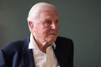 David Attenborough backs £30 million bid to buy historic Rothbury Estate