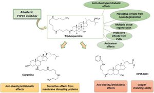 New Thiazole Derivatives Show Promise As Cancer Treatments