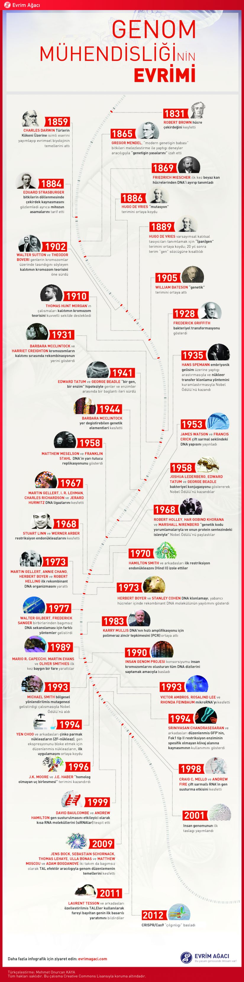 Genetik mühendisliğinin evrimi