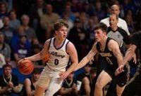 Albany and Waseca, the top two seeds, will play for the Class 2A boys basketball title