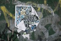 I watched SWFC beat Leeds United at a deserted Hillsborough and one word summed it up