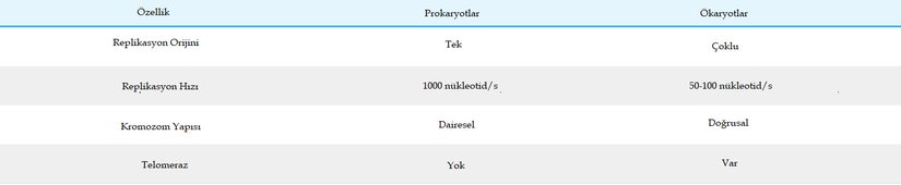 Prokaryotik ve ökaryotik replikasyonlar arasındaki farklar