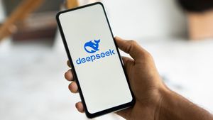 Italy Blocks Chinese AI App DeepSeek Over Data Privacy Concerns