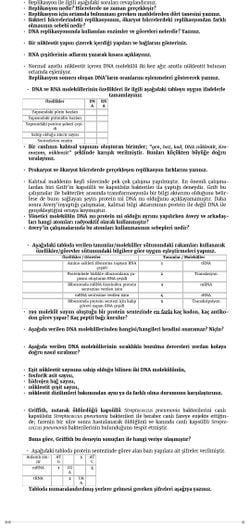 Bu soruları bilen bilimciler cevaplayabilir mi lütfen?