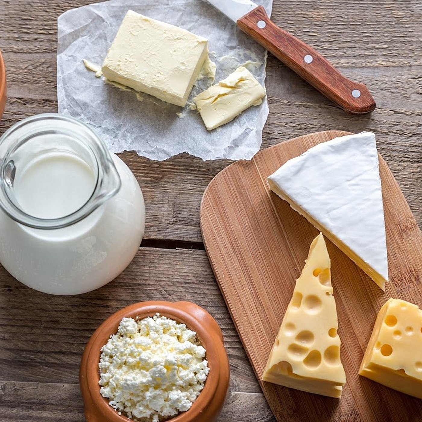 Evrim Ağacı ile Bilime Dair Her Şey!