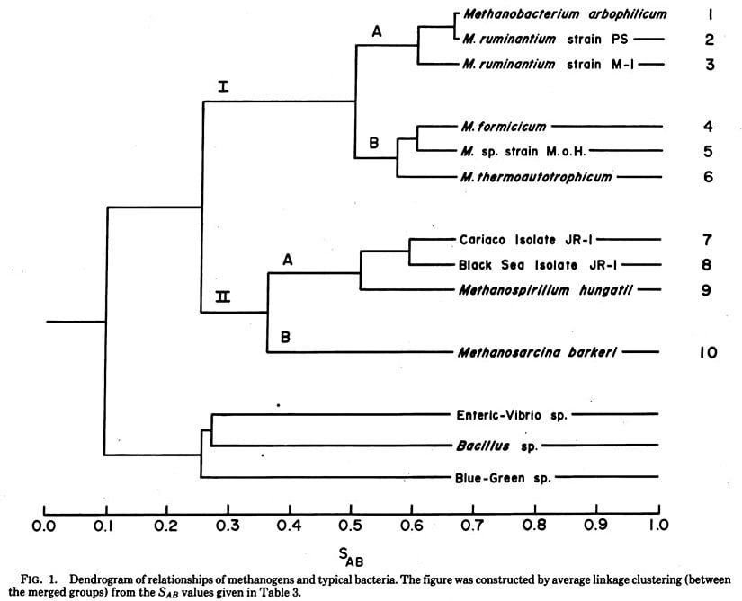 Woese ve Fox tarafından yayımlanan Science makalesindeki filogeni (Evrim Ağacı)...