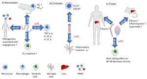 Optimized MiRNA Sequencing Uncovers Fibrosis Caused By Trichuris Muris Infection