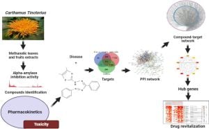 Safflower Yellow Shows Promise Against Diabetes Through Key Pathway