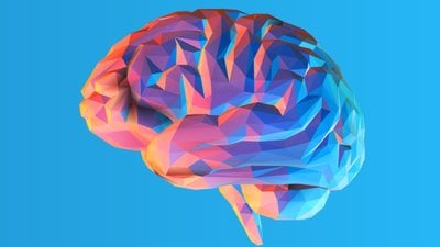 Bugüne Kadar Kabul Gören Hafıza Oluşum Modelleri Ne Kadar Gerçekçi?