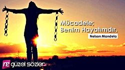 Beynimizdeki üzüntü merkezi