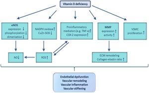 Vitamin D Levels Linked To Heart Disease Risk In Diabetes