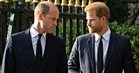 Prince Harry takes thinly-veiled swipe at Prince William in explosive chat
