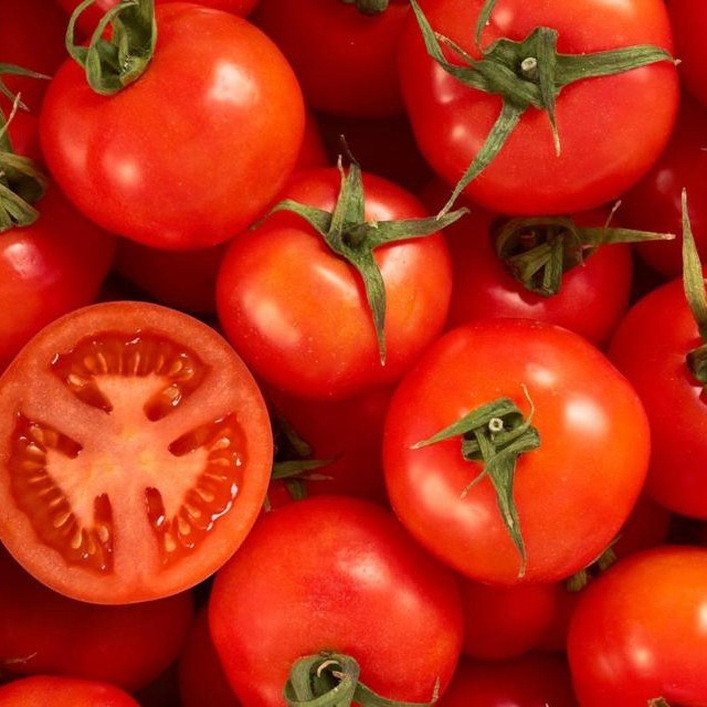 Evrim Ağacı ile Bilime Dair Her Şey!