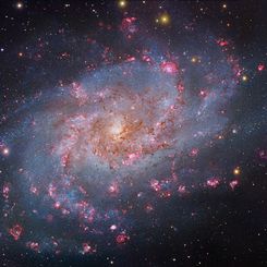  M33: The Triangulum Galaxy 