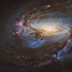 Hubble’dan M66 Sarmal Galaksisi