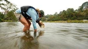 Hurricane Helene Recovery Spurs Debate Over River Cleanup