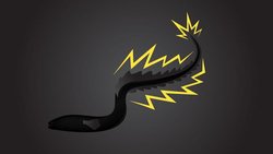 Elektrositler: Elektrikli Hayvanlar, Kurbanlarını Nasıl Çarpıyor?