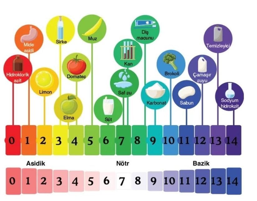 pH cetveli ve pH değerlerindeki ürünlere bazı örnekler.