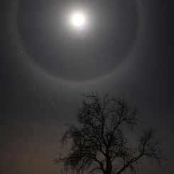 A February Moon's Halo