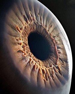 İnsan gözü kaç Farklı renk görür?