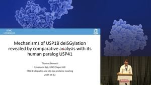 New Chemical Probes Reveal Insights Into USP18 Activity