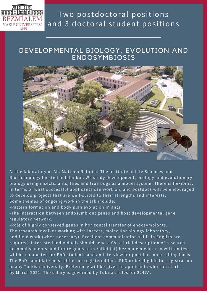 PhD and Postdoc positions in developmental biology, evolution and endosymbiosis