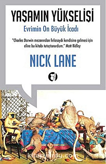 Yaşamın Yükselişi: Evrimin 10 Büyük İcadı