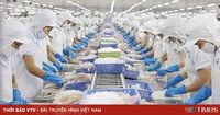 Giữ đà tăng trưởng xuất khẩu thủy sản