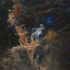 Chamaeleon Dark Nebulas