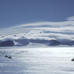 Searching for Meteorites in Antarctica