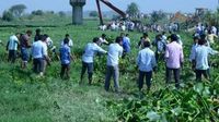 Nature’s filters in Hindon’s drains: Man-made wetlands to revive a dying river - The Statesman