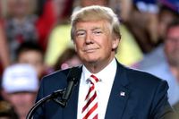 The 25th Amendment and Trump: could it actually work?