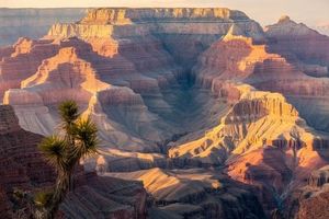 Forest Bathing And National Parks Capture Travelers In 2025