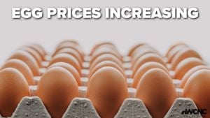 Rising Egg Prices Hit Households Hard Across ATB Supermarkets