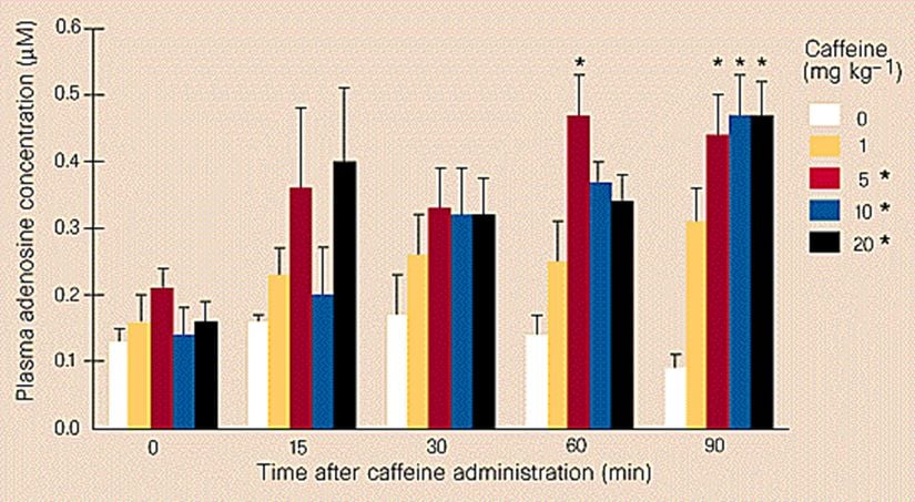 Kafein, plazma adenosin konsantrasyonunu dozla ilişkili (P<0001) ve doygun bir şekilde arttırmıştır. Kafein, plazma adenosin konsantrasyonunu dozla ilişkili (P<0001) ve doygun bir şekilde arttırmıştır.