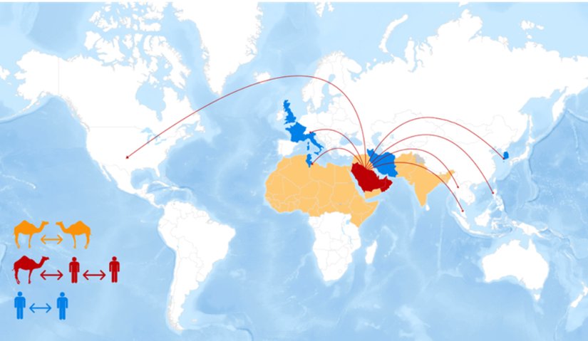 Salgının epidemiyolojik dağılım haritası.