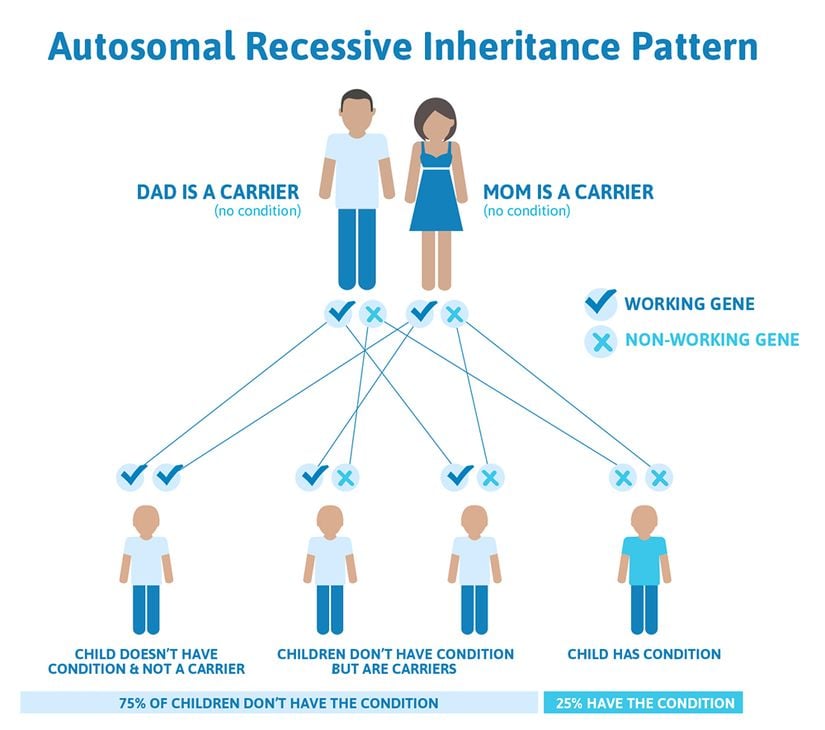 Otozomal resesif hastalıkların kalıtımını gösteren görsel. Alel genlerine baktığımızda taşıyıcı olduğu görülen anne ve babanın bebeği; %25 olasılıkla tamamen sağlam, %50 olasılıkla taşıyıcı, %25 olasılıkla hastadır. Sağlam veya taşıyıcı bebeklerde hastalık ifade edilmez yani %75 olasılıkla bebek hasta değildir..