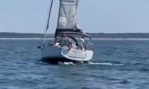 Killer Whales Sink Boats Off Portugal As Attacks Surge