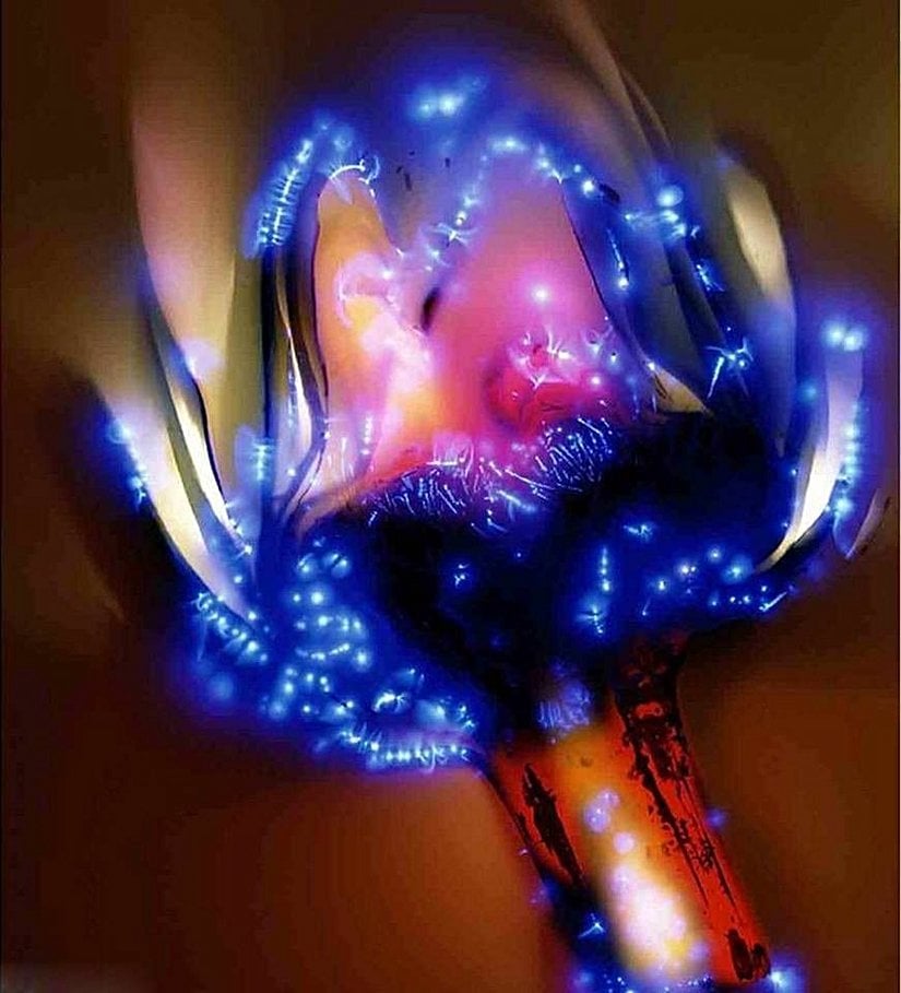 Kaliforniya'da yaşayan fotoğrafçı Robert Buelteman 1930'larda uygulanan ve "elektrofotografi" olarak bilinen tekniği günümüze uyarlıyor. Öncelikle örneklerini bir neşter ile oyuyor, sonra da üzerinde pleksiglas bulunan bir metale yerleştiriyor. Sonrasında ise çeşitli yöntemler kullanarak bitkilere yüksek gerilim vererek üzerlerinden akım geçmesini sağlıyor. Metale çarpan elektronlar bitkilerin içerisinden geçiyor ve fotoğrafçı bunları fiberoptik bir kablo kullanarak topluyor. Akım, bitkiler etrafında çok ince bir ışığın yayılmasını sağlıyor. Bu da, fotoğraflarda bitkilerin etrafında mavimsi bir harenin oluşmasını sağlıyor. Tek bir güzel fotoğraf için en az 150 kare çekilmesi gerekiyor. Tabii ki her seferinde işlem, yeni çiçeklerle, baştan tekrarlanıyor.