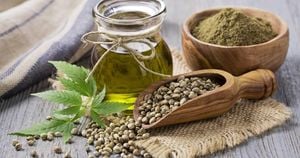 Optimized Extraction Method Enhances Nutritional Value Of Hemp Seed Oil